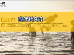 美国研究表明三分之二的癌症发病原因是运气不好11页.ppt