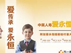 中英人寿爱永恒终身寿险附加提前给付重疾标培训准课件37页.ppt