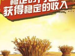 组织发展增员海报国寿版4页.rar