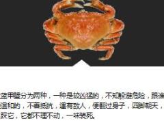 每日正能量做弱者是智慧10页.ppt
