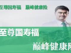 国寿福至尊版宣导课件及产品培训63页.ppt