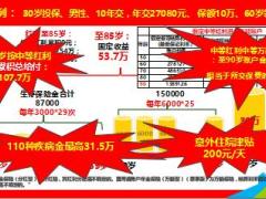 国寿福瑞安康年金保险产品组合主要责任产品示例29页.ppt