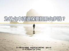 为什么退保要扣那么多钱9页.ppt