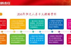 壮娃娃阳光保险联合营销活动介绍30页.ppt