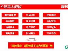 国寿鑫悦一生亮点解析条款解读22页.ppt
