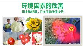 2017重大疾病保险观念20页.ppt