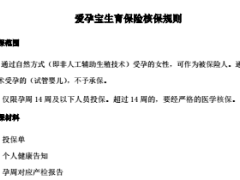永安爱孕宝生育保险A款条款费率表核保规则孕检项目时间表.rar