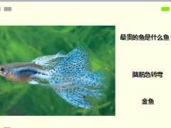 每日快乐早会17年4月27日使用15页.ppt