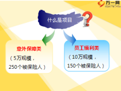 团险项目寻找与大客户销售技巧51页.ppt