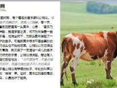 每日保险故事对牛弹琴6页.ppt