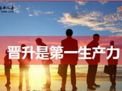 组织发展晋升意愿启动富德生命版13页.ppt
