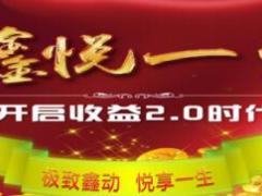 国寿鑫悦一生年金保险自动计划书利益演示表.xlsx