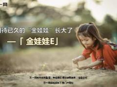 阳光保险金娃娃E产品介绍15页.ppt