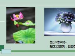 每日鸡汤短短六句话度了无数人.rar