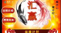 泰康人寿汇赢年金计划书28页.ppt
