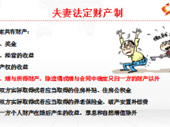 保险在婚姻财产中的性质14页.ppt