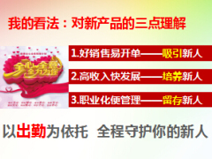 巧用新产品组织大发展泰康全心全意版14页.ppt