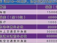 国寿福利卡安心卡学平险宣传页.rar