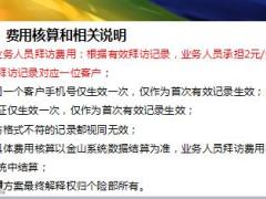 分公司客户服务节拜访方案6页.ppt