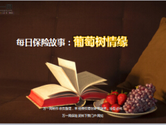 每日保险故事葡萄树情缘10页.ppt