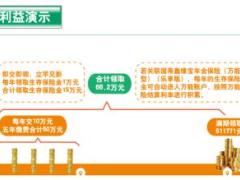 国寿鑫福宝金猪版背景板挂旗海报折页台卡易拉宝.rar