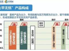 太平无忧产品体系介绍图片22页.ppt