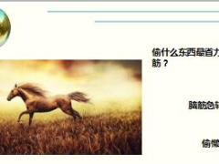 每日快乐早会17年5月17日使用15页.ppt