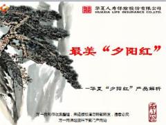 华夏人寿夕阳红产品解析35页.ppt