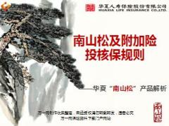 华夏人寿南山松及附加险投核保规则22页.ppt