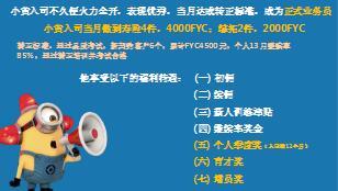 基本法演讲组织发展晋升课件太平版30页.ppt