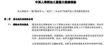 中英人寿附加儿童重大疾病保险条款.rar