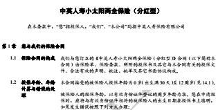 中英人寿小太阳两全保险分红型条款.rar