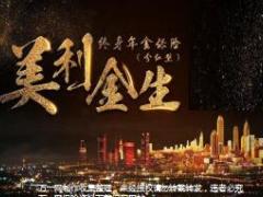新华美利金生产品简介10页.ppt