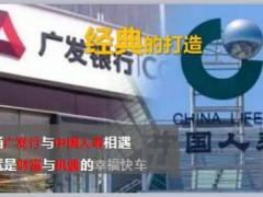 中国人寿鸿福至尊营销员宣导产品培训59页.ppt