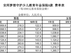 安邦梦想守护少儿教育年金保险A款费率表1页.rar