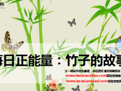 每日正能量竹子的故事5页.ppt