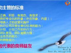 如何做一名称职的保险主管32页.ppt