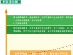 中国人寿福瑞安康产品彩页二折页.rar
