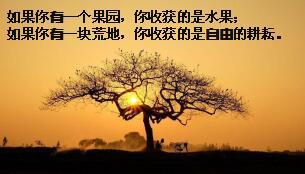 保险中介招聘讲行业公司之合伙创业正当时大童版精美67页.ppt