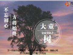 大童保险服务中介企业文化之树精美26页.ppt