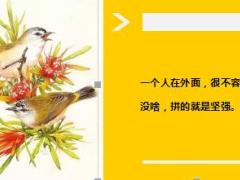 每日鸡汤越努力越幸运.rar