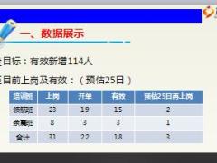 机构大型增员项目报告总结汇报14页.ppt