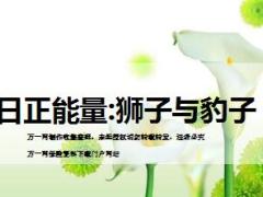 每日正能量狮子与豹子8页.ppt