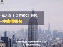 阳光人寿金祥裕C产品特色责任投保保全规则介绍21页.ppt