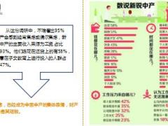 2017新锐中产报告出炉百分之95的中产焦虑13页.ppt