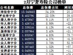宁夏2017年前2月寿险公司总保费排行榜.xls