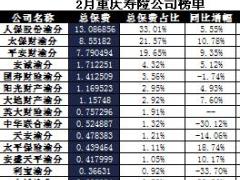 重庆2017年前2月寿险公司总保费排行榜.xls