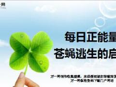 每日正能量苍蝇逃生的启迪9页.ppt