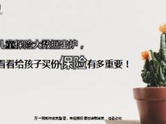 从儿童保险大数据看给孩子买保险的重要性16页.ppt