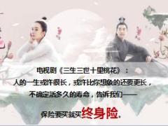 富德生命福相随的魅力宣导片12页.ppt